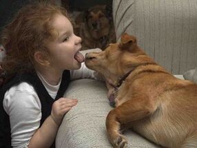 child kisses dog and becomes infected with parasites