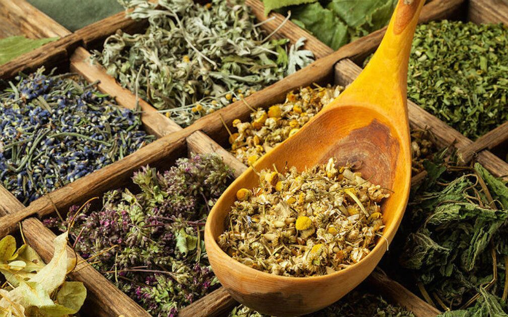 dried herbs for parasites in the body