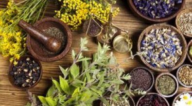 herbal remedies will help get rid of parasites